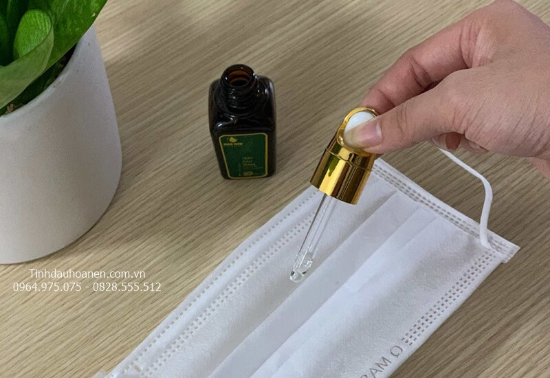 dau tram gio hue dầu tràm gió huế